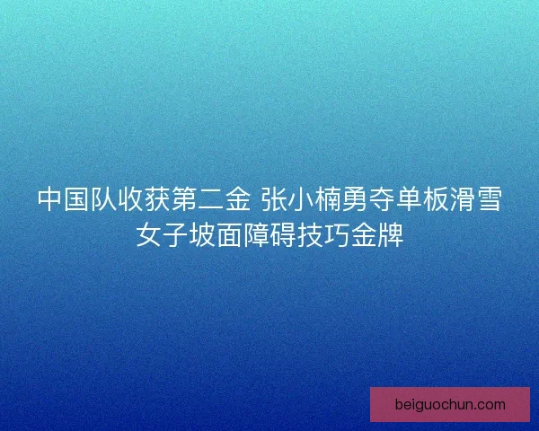 中国队收获第二金 张小楠勇夺单板滑雪女子坡面障碍技巧金牌