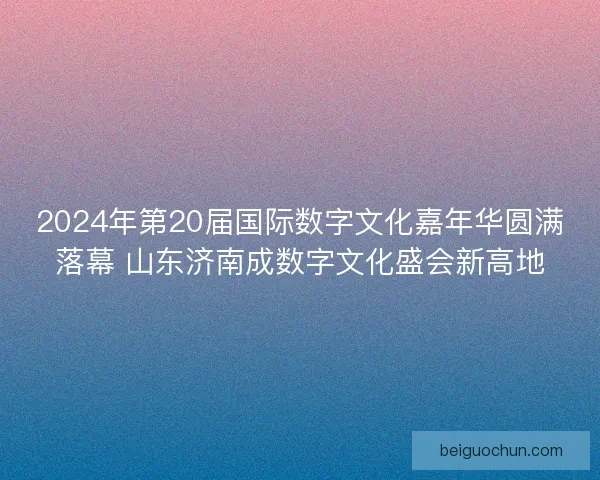 2024年第20届国际数字文化嘉年华圆满落幕 山东济南成数字文化盛会新高地