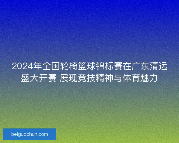 2024年全国轮椅篮球锦标赛在广东清远盛大开赛 展现竞技精神与体育魅力
