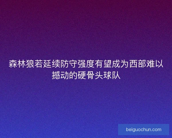 森林狼若延续防守强度有望成为西部难以撼动的硬骨头球队