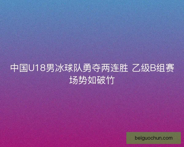 中国U18男冰球队勇夺两连胜 乙级B组赛场势如破竹