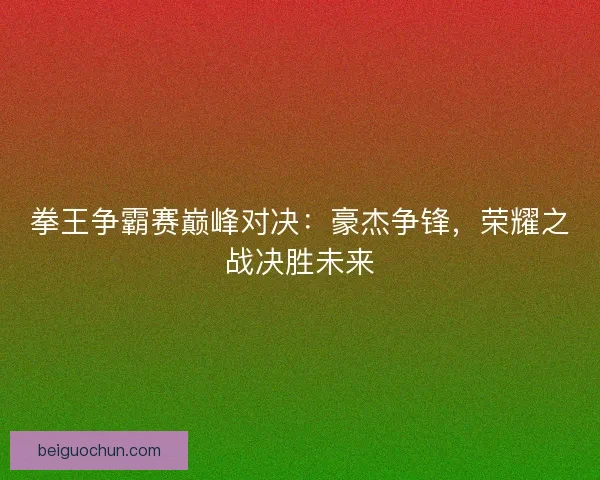 拳王争霸赛巅峰对决：豪杰争锋，荣耀之战决胜未来