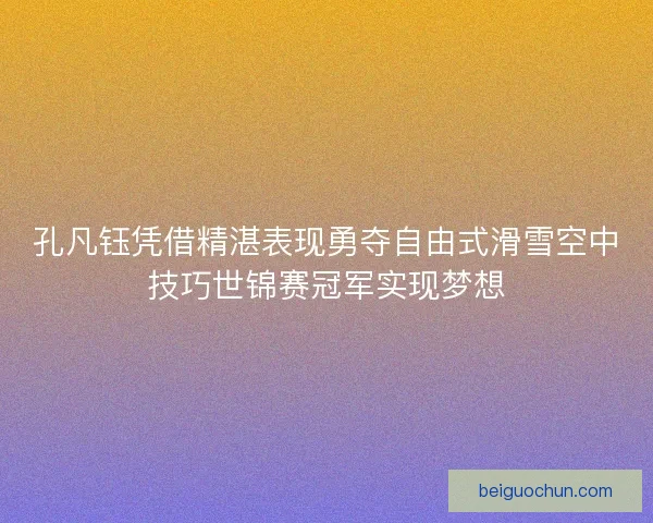 孔凡钰凭借精湛表现勇夺自由式滑雪空中技巧世锦赛冠军实现梦想
