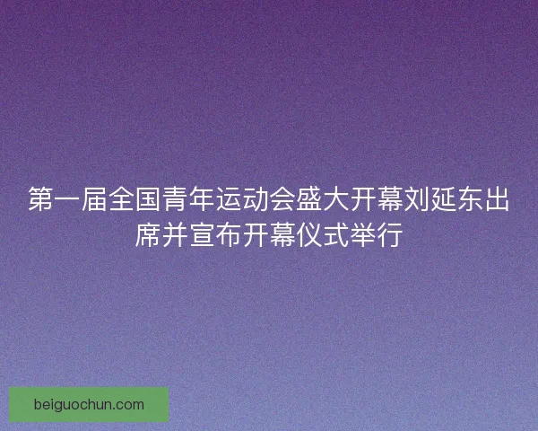 第一届全国青年运动会盛大开幕刘延东出席并宣布开幕仪式举行