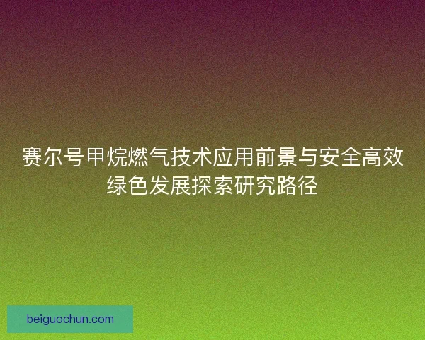 赛尔号甲烷燃气技术应用前景与安全高效绿色发展探索研究路径