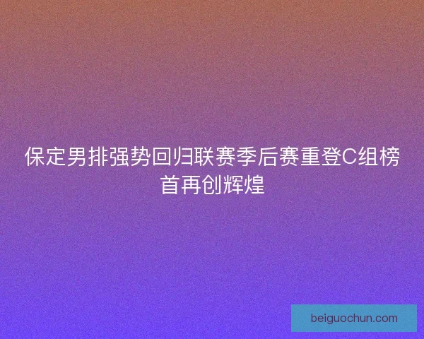 保定男排强势回归联赛季后赛重登C组榜首再创辉煌