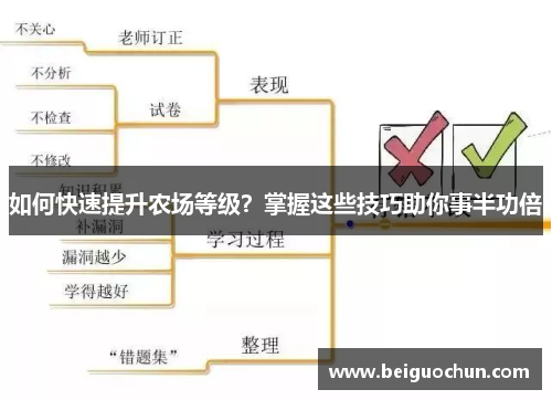 如何快速提升农场等级？掌握这些技巧助你事半功倍